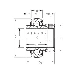 Bearing G1009KLLB Timken