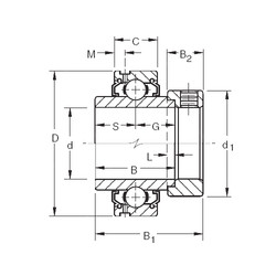 Bearing G1200KLL Timken