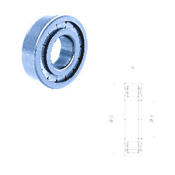 Bearing NUP2212FMNR/C3 Fersa