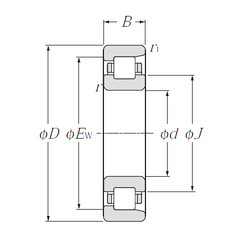 Bearing NF234 NTN