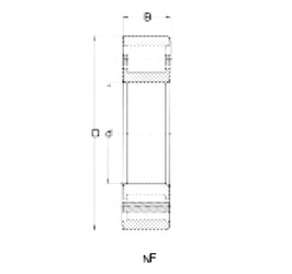 Bearing NF219 CRAFT