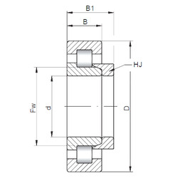 Bearing NH2344 E CX