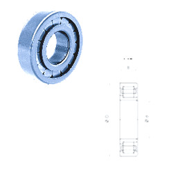 Bearing NJ310FM Fersa