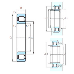 Bearing NJ248 PSL