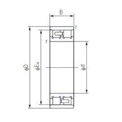 Bearing NN3019 NACHI