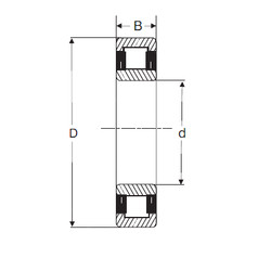 Bearing NU 2204 SIGMA