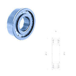 Bearing NU1011FM Fersa