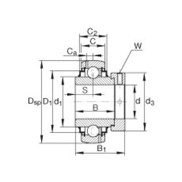 Bearing G1103-KRR-B-AS2/V INA