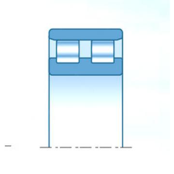 Bearing NN30/500C1NAP4 NTN