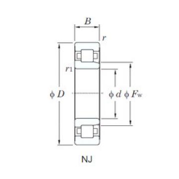 Bearing NJ204 KOYO