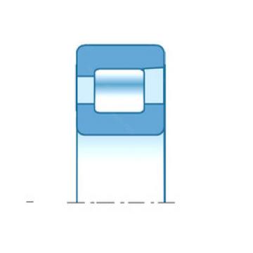 Bearing NFV18/530 NTN