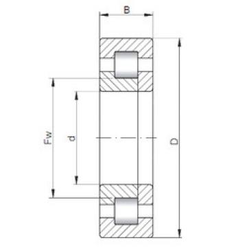 Bearing NUP1048 CX