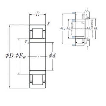 Bearing NU 205 EW NSK