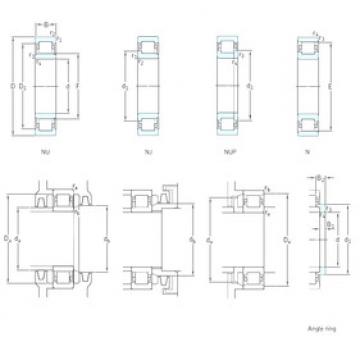 Bearing NJ1011ECP SKF