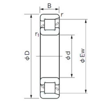 Bearing NF 10/500 NACHI