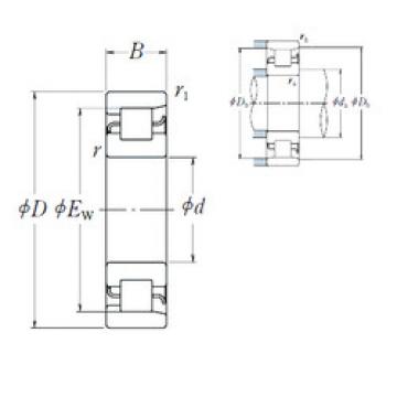 Bearing NF 204 NSK