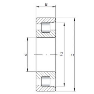 Bearing NF10/500 ISO