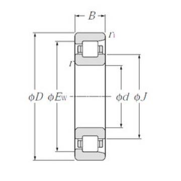 Bearing NF202 CYSD