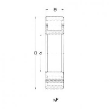 Bearing NF204 CRAFT