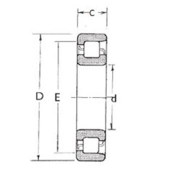 Bearing NF204 FBJ