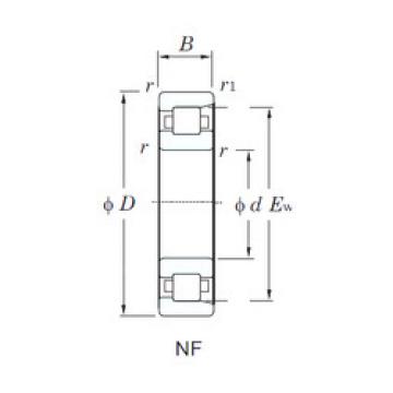 Bearing NF204 KOYO