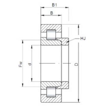 Bearing NH10/500 CX