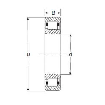 Bearing NJ 210 SIGMA