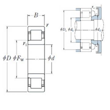 Bearing NJ 304 ET NSK