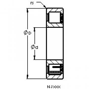 Bearing NJ202 EM6 AST