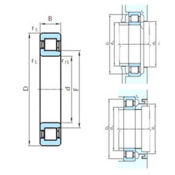 Bearing NJ1060 PSL