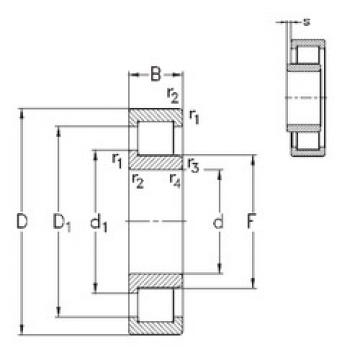 Bearing NJ203-E-TVP3 NKE