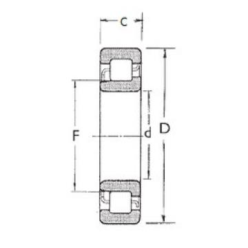 Bearing NJ204 FBJ