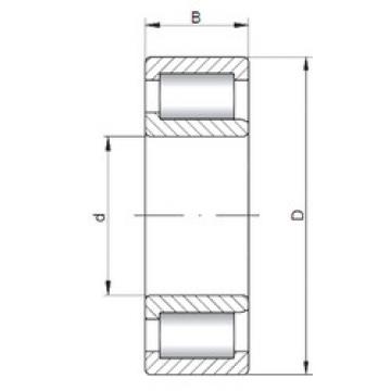 Bearing NJF2305 V CX