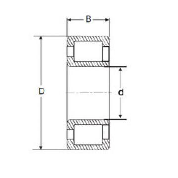 Bearing NJG 2305 VH SIGMA