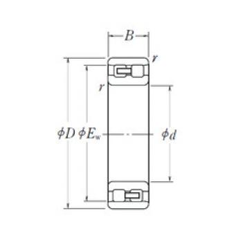 Bearing NN 3005 NSK