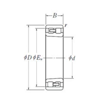 Bearing NN 3017 K NSK