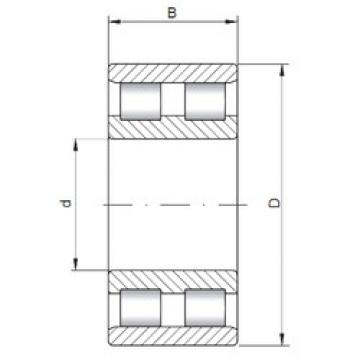 Bearing NN3005 ISO