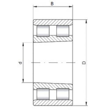 Bearing NN3007 K ISO