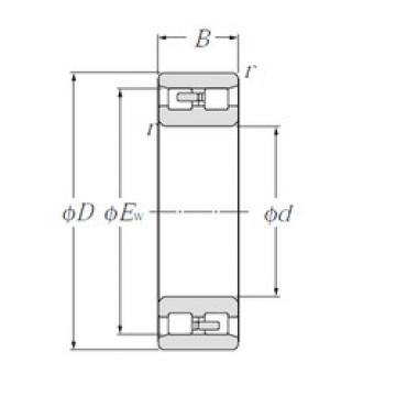 Bearing NN3006 NTN