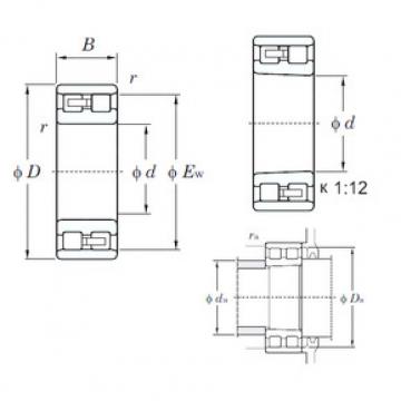 Bearing NN3005 KOYO