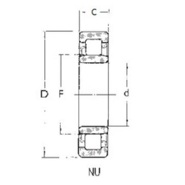 Bearing NU1005 FBJ