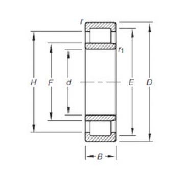 Bearing NU205E.TVP Timken