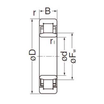 Bearing NU206EG NACHI