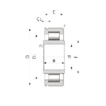 Bearing NU910624S02 SNR