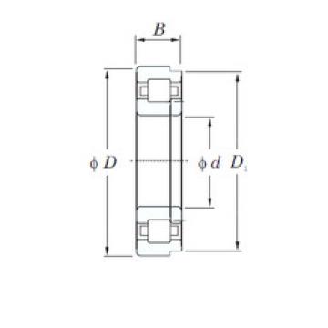 Bearing NUP1064 KOYO