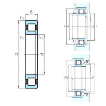 Bearing NUP1052 PSL