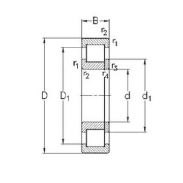 Bearing NUP203-E-TVP3 NKE