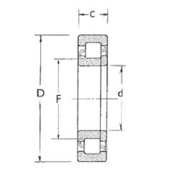 Bearing NUP204 FBJ