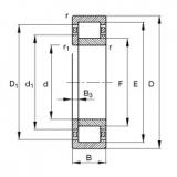 Bearing NUP2244-EX-TB-M1 FAG