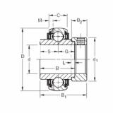 Bearing GN107KLLB Timken